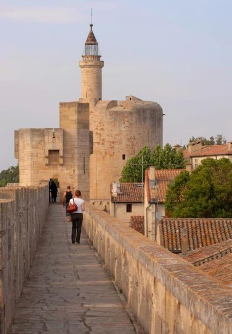 Hébergement de vacances Au Calme Situe En Camargue